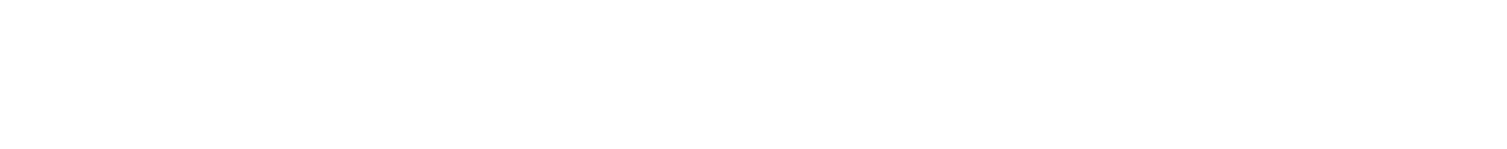 CEO Recruiting