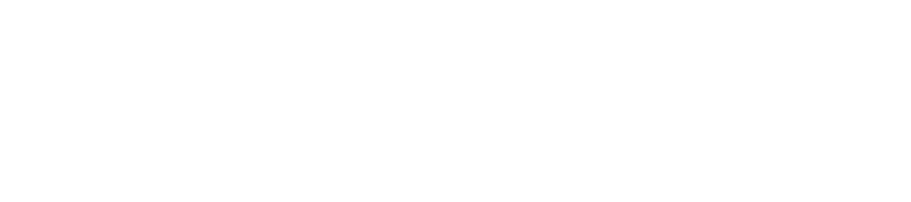 Luxury Hotels Investments